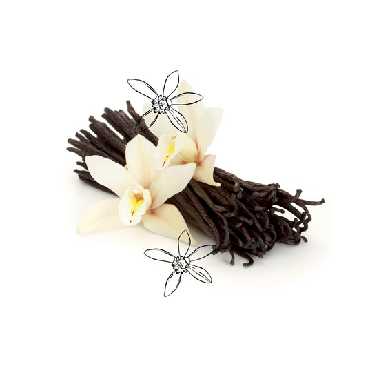 Vanilla